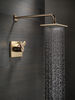 Monitor&reg; 17 Series Shower Trim