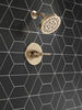 Monitor&reg; 14 Series Shower Trim
