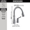 Pull-Down Kitchen Faucet (Recertified)