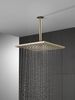 Single-Setting Metal Raincan Shower Head