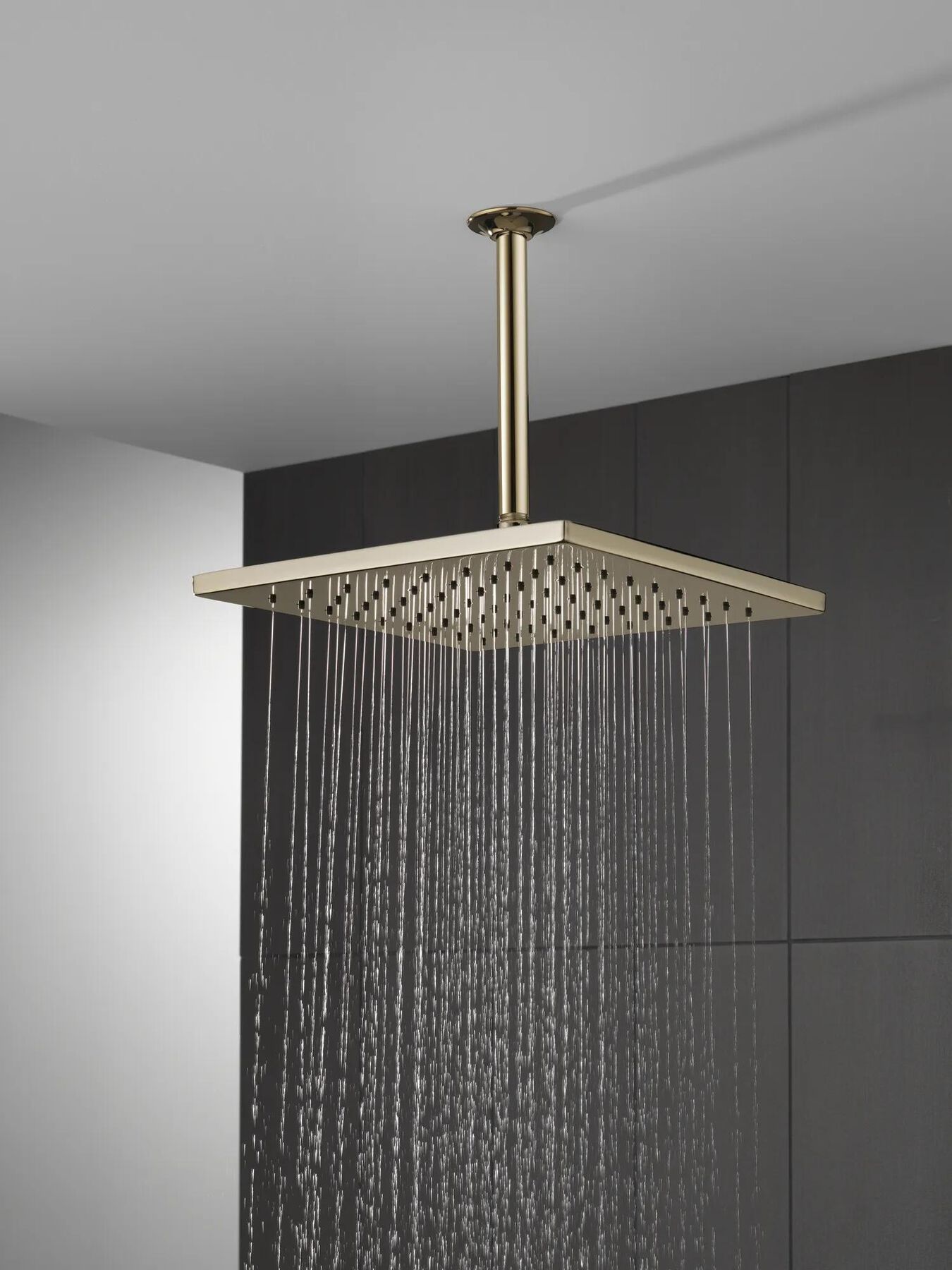 Single-Setting Metal Raincan Shower Head