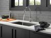 Pull-Down Kitchen w/ShieldSpray (Recertified)