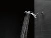 HydroRain 5-Setting Shower Head