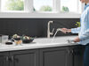 Pull-Out Kitchen Faucet (Recertified)