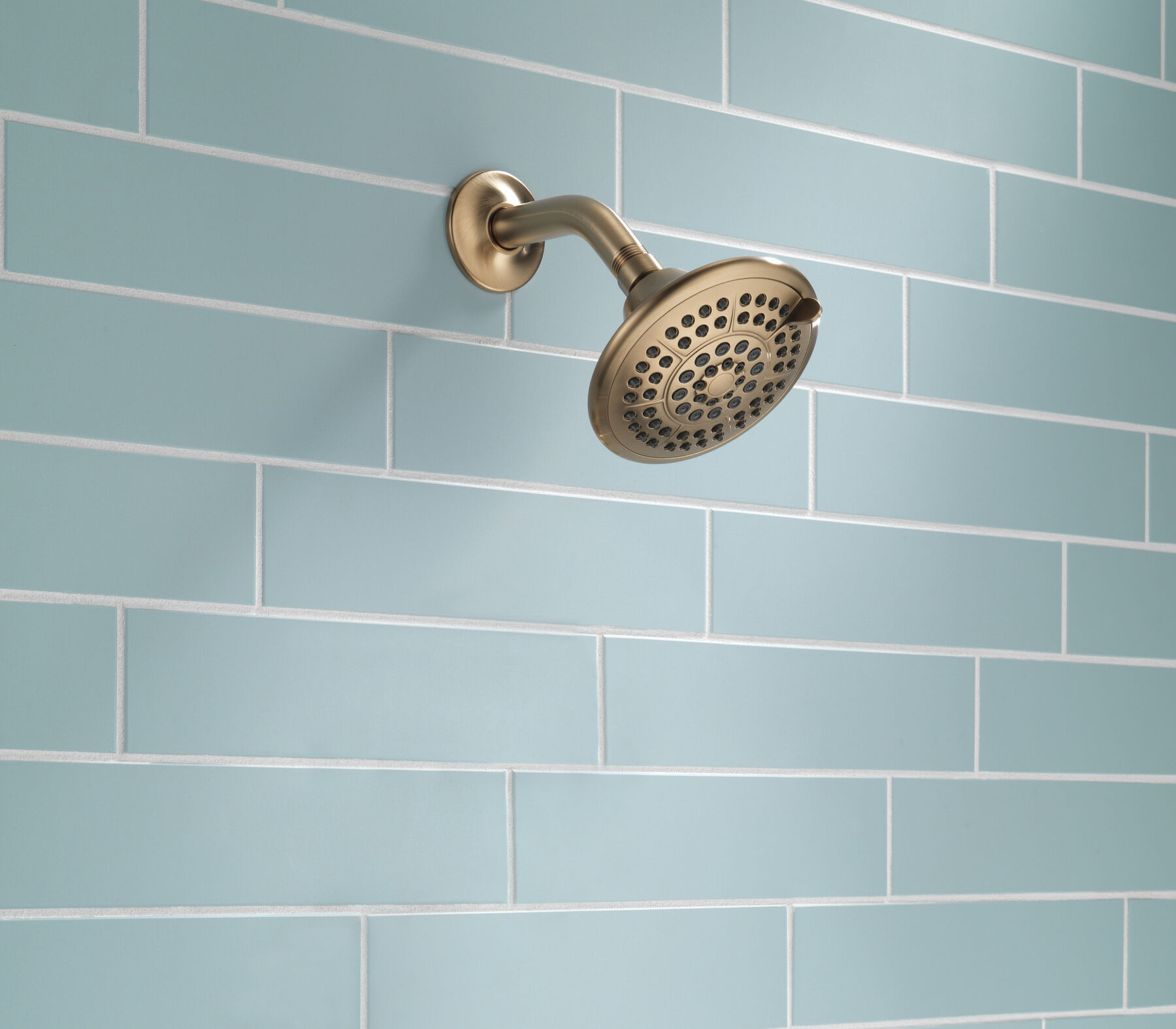 5-Setting Raincan Shower Head