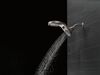 HydroRain&reg; 5-Setting Two-in-One Shower Head