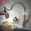 Pull-Down Kitchen with Soap Disp Bundle