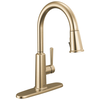 Single Handle Pull-Down Kitchen Faucet (Recertified)