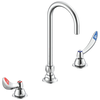Widespread Faucet