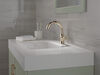 Single Handle Pull-Down Bathroom Faucet