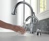Transitional Beverage Faucet