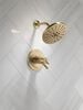 TempAssure&reg; 17T Series H<sub>2</sub>Okinetic&reg; Shower Trim