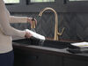 Single-Handle Pull-Down Kitchen Faucet