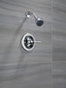 Single Handle Shower
