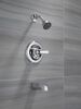 Monitor&reg; 13 Series Tub & Shower