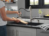 Single Handle Pull-Down Kitchen Faucet with Soap Dispenser and ShieldSpray Technology