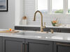 Pull-Down Kitchen Faucet w/Soap (Recertified)