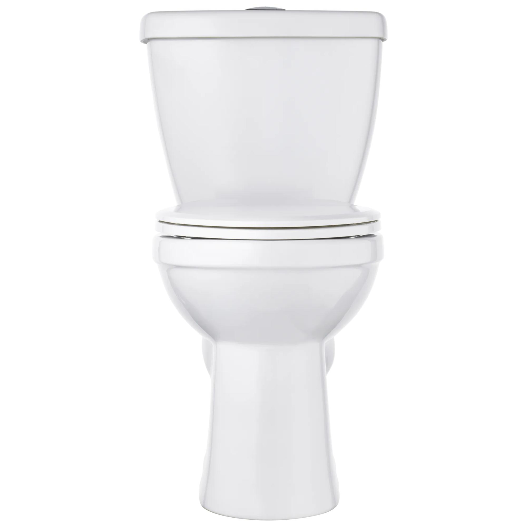 Foundations Dual Flush Elongated Toilet