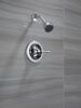 Single Handle Shower