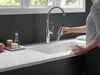 Pull-Down Kitchen Faucet (Recertified)