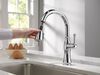 Single Handle Pull-Down Kitchen Faucet with ShieldSpray&reg; Technology