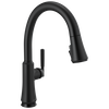 Touch<sub>2</sub>O&reg; Technology Kitchen Faucet with Touchless Technology