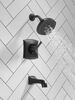 Tub & Shower Rough/Trim 14S (Recertified)