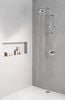 Single-Setting Hand Shower