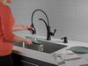 Pull-Down Kitchen w/Soap Disp (Recertified)