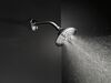 5-Setting Raincan Shower Head