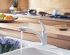 Pull-Out Kitchen Faucet (Recertified)