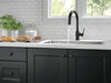 Pull-Down Kitchen Limited Swivel (Recertified)
