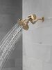 Premium Shower Filter with Shower Head Bundle