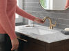 Single Handle Pull-Down Bathroom Faucet