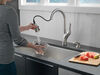 Single Handle Pull-Down Kitchen Faucet with Soap Dispenser and ShieldSpray&reg; Technology (Recertified)