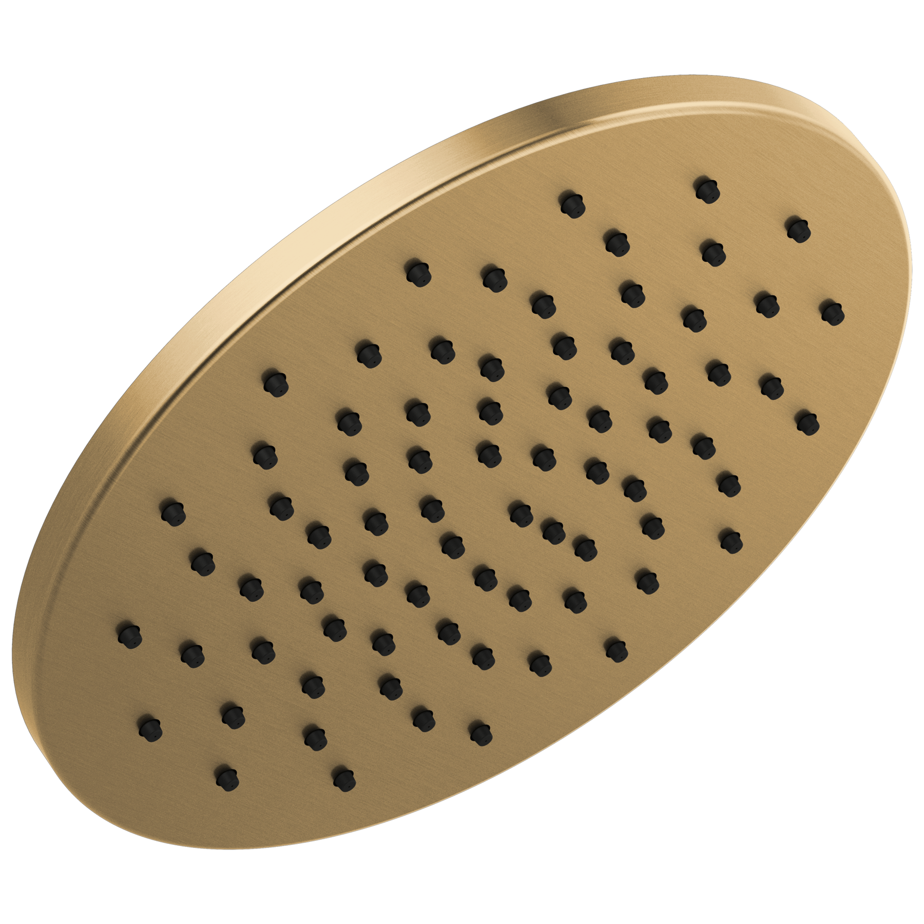 Single-Setting Metal Raincan Shower Head