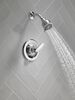 Shower Trim 13S (Recertified)