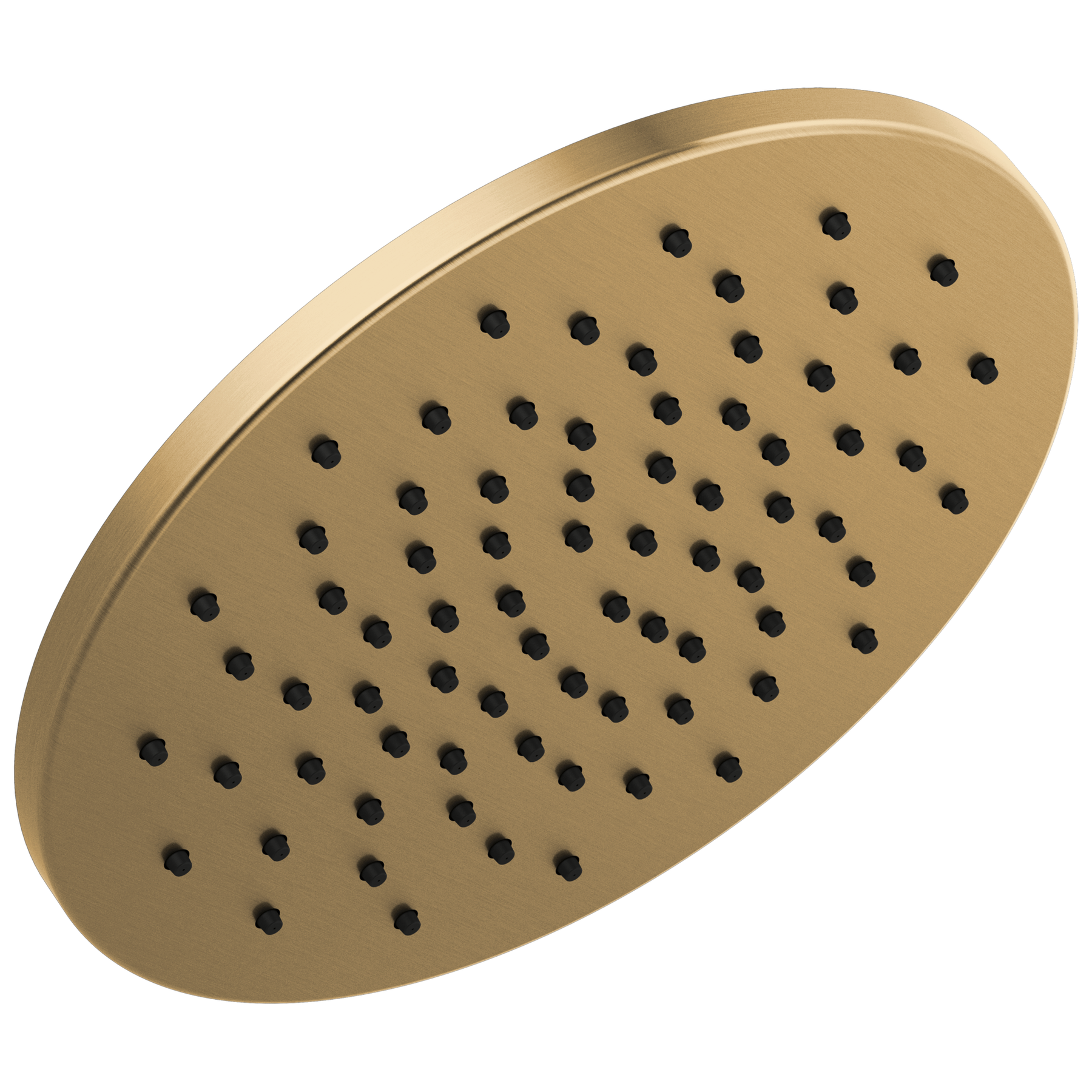 Single-Setting Metal Raincan Shower Head (Recertified)