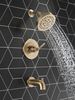 Monitor&reg; 14 Series Tub & Shower Trim