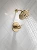 TempAssure&reg; 17T Series H<sub>2</sub>Okinetic&reg; Shower Trim