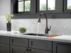 Single Handle Pull-Down Kitchen Faucet with Touch<sub>2</sub>O&reg; and ShieldSpray&reg; Technologies