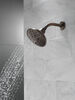H<sub>2</sub>Okinetic&reg; 5-Setting Shower Head