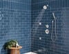 Trinsic 6-Setting (Non-Integrated) Custom Shower Bundle