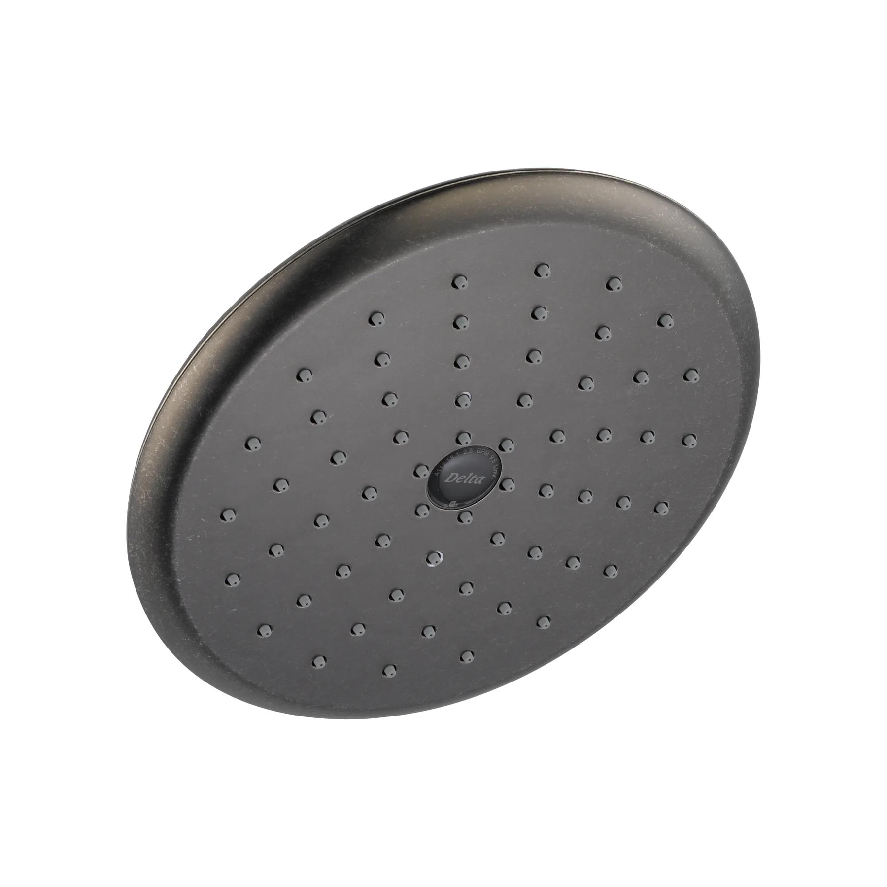 Raincan Single-Setting Shower Head