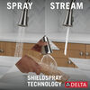 Pull-Down Kitchen Faucet (Recertified)