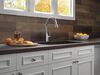 Single Handle Pull-Down Kitchen Faucet with ShieldSpray&reg; Technology