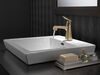 Single Handle Bathroom Faucet