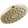 PivotPro&trade; Raincan Shower Head