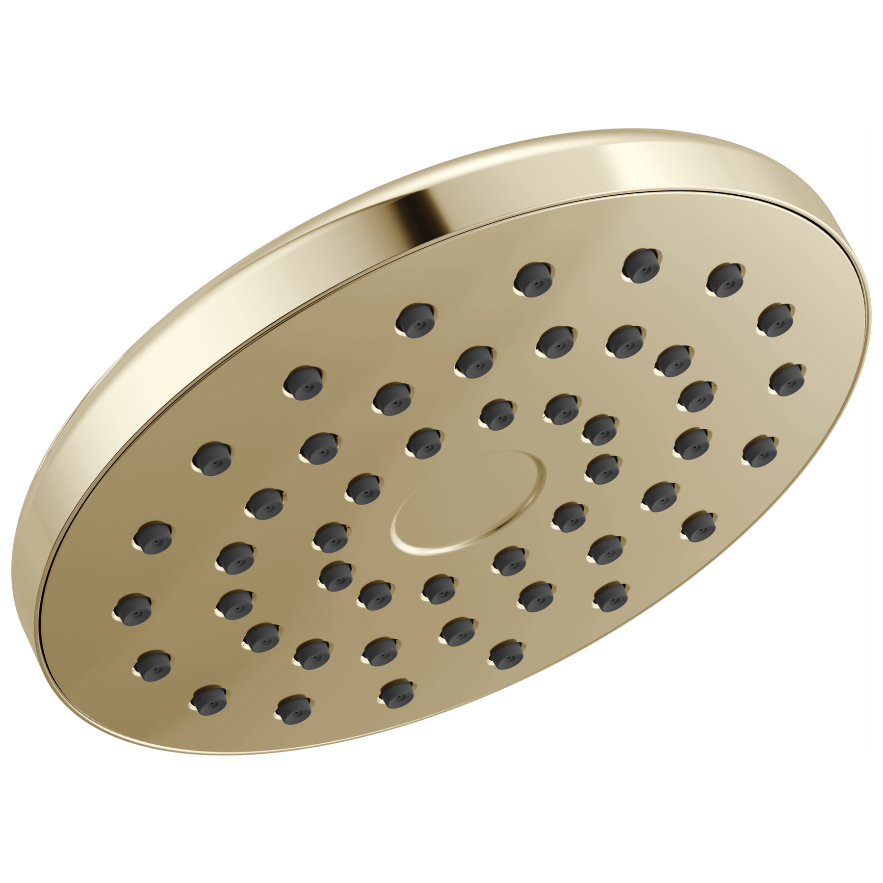 PivotPro&trade; Raincan Shower Head