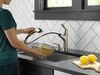 Single Handle Pull-Out Kitchen Faucet (Recertified)